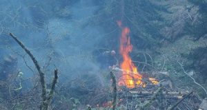 آتش سوزی در جنگل های سوانتی و سوختن بیش از 2.5 هکتار