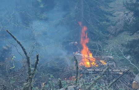 آتش سوزی در جنگل های سوانتی و سوختن بیش از 2.5 هکتار 